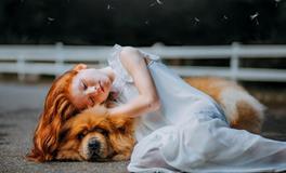 孕妇做梦梦到狼是什么意思