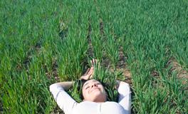 孕妇梦到家里来客人