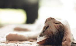 孕妇梦到两个月亮