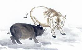 1947年属猪的人2020年运势大全及破解