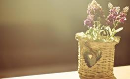 水则堂2018年9月17日生肖运势