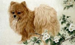 1970年属狗的人2020年运势大全及破解