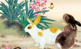 1975年属兔的人2020年运势大全及破解