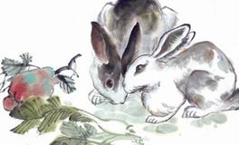 1987年属兔的人2020年运势大全及破解