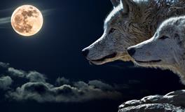 孕妇做梦梦到拿刀砍人