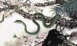 2001年属蛇的人2020年运势大全及破解