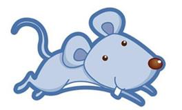 2008年属鼠的人2020年运势大全及破解