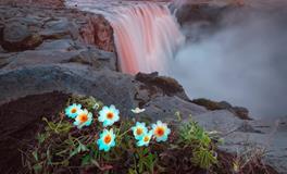 亥时是什么生肖