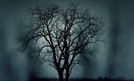 梦见吵架打架是什么意思