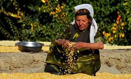 塔吉克族吃什么，塔吉克族饮食介绍