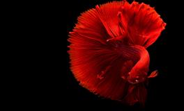 梦见搬家收拾东西是什么意思