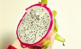 射手座的专属水果