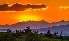 梦见给孩子理发