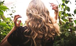 做梦梦见甲鱼是什么意思