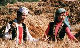 回族与撒拉族的区别