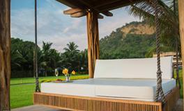 梦到虫子从肉里钻出来