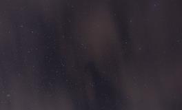 女人梦见把虫子打死了