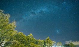 梦到别人脸上有虫子