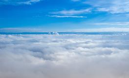 做梦梦到身体出白虫子