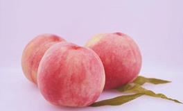 双鱼座的专属味道