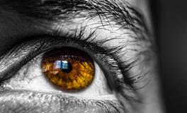 怀孕梦到好多蜈蚣