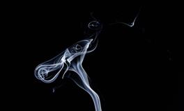 做梦梦到金色大蟒蛇