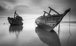 做梦梦到狮子和蛇