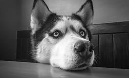 已婚女人梦见自己出轨