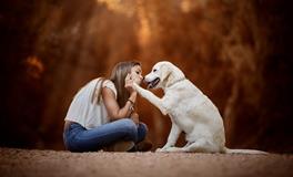 属猪男和属狗女的缘分指数