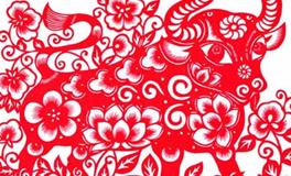 1997年出生的属牛人2020年运势