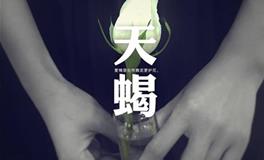 天蝎座成绩排名