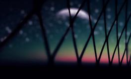 周公解梦梦见手