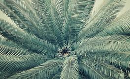 梦见死去的亲人又死了一次