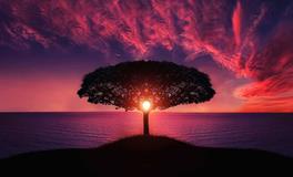 梦见参加别人的婚礼预示着什么