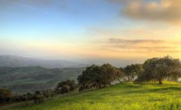 梦见心上人和别人结婚