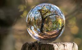 做梦梦到狼追我