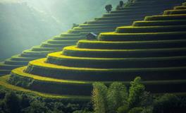 梦见自己结婚新郎没来