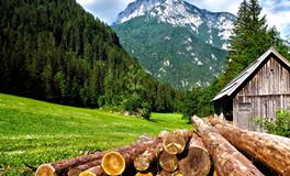 梦见自己结婚哭的很伤心