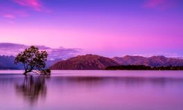 梦见女朋友和别人结婚是什么意思