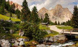 做梦梦到老公跳楼