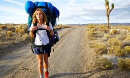 生肖猴挽回爱情的秘诀