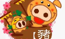 2007年出生的属猪人2020年运势