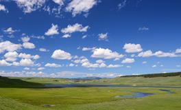 孕妇梦到摘西红柿