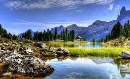 孕妇做梦梦到好多南瓜