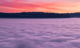 孕妇梦到摘青瓜