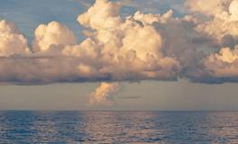 周公解梦孕妇梦到葡萄