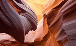 孕妇梦到野果子