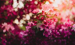 梦到老公和别人相亲