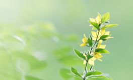 做梦梦到被鬼吓