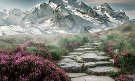 梦见自己坐牢预示着什么